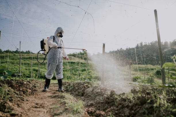 Best Commercial Pest Control Services  in St Andrews, SC