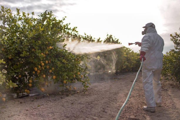 Pest Control for Restaurants in St Andrews, SC