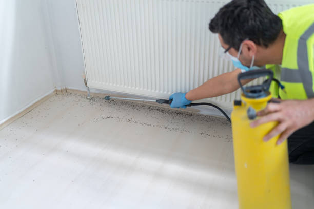 Best Pest Inspection Near Me  in St Andrews, SC